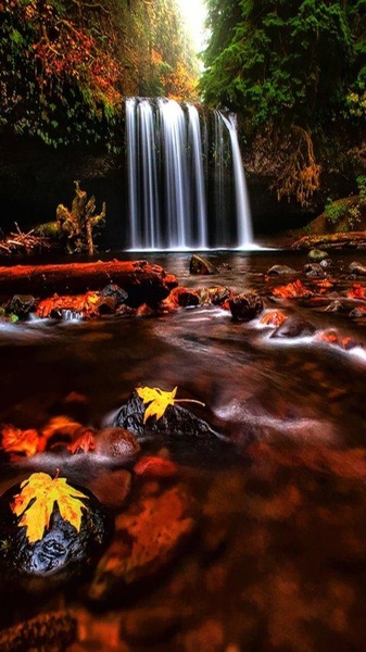 Galaxy Nexus Wallpapers HD - Preview 2