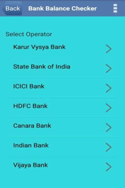 Bank Balance Check Number - Preview 5