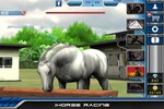 iHorse Racing ENG screenshot 17