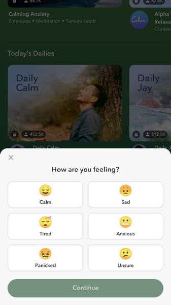 Calm - Preview 7