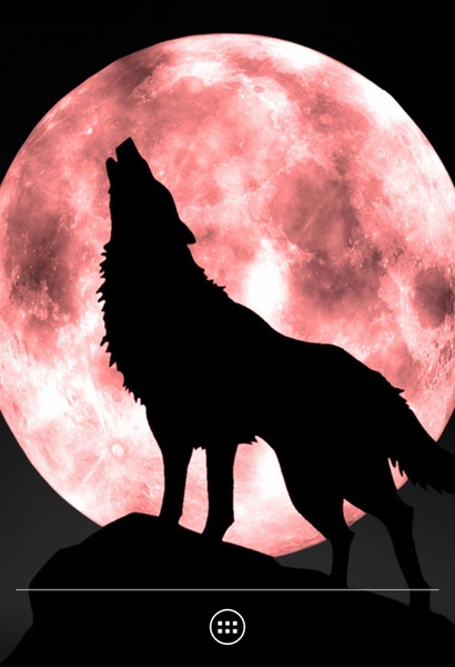Wolf - Preview 5