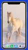 Horse Wallpaper screenshot 4