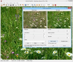Irfanview 4 58 For Windows Download