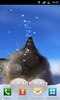 Peper Kitten screenshot 5