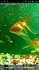 Aquarium Live Wallpaper screenshot 7