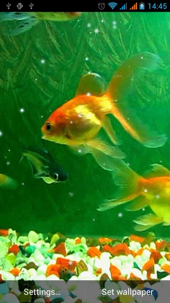 Aquarium Live Wallpaper - Preview 7