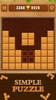 Wood Block Puzzle screenshot 8