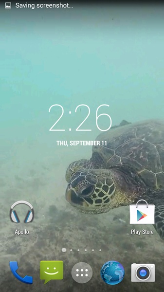 Sea Turtle HD. Wallpaper - Preview 4