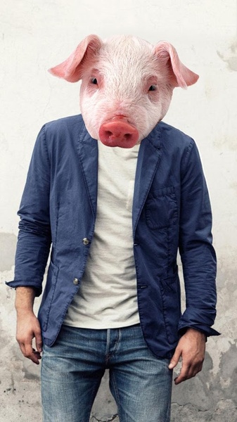 Animal Face Photo Maker - Preview 3
