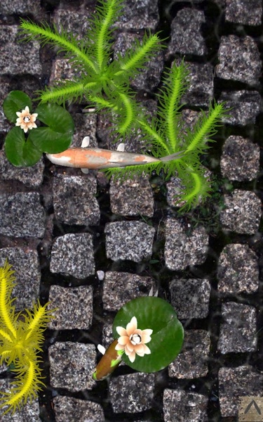 PocketPond2 - Preview 2