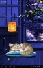 Sleepy Cat Live Wallpaper screenshot 1