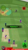 IPL Cricket League 2020 Game – T20 Cricket Games screenshot 7