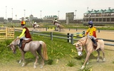 Horse Racing Simulator screenshot 1