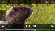 ZZPlayer Video Player screenshot 8