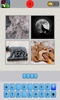 What Word? 4 pics screenshot 9