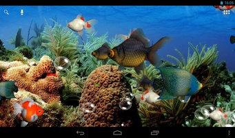 Wallpaper Bergerak Aquarium 3d Image Num 44
