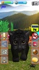 Talking Kittens screenshot 2