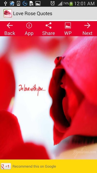 Love Rose Quotes - Preview 4