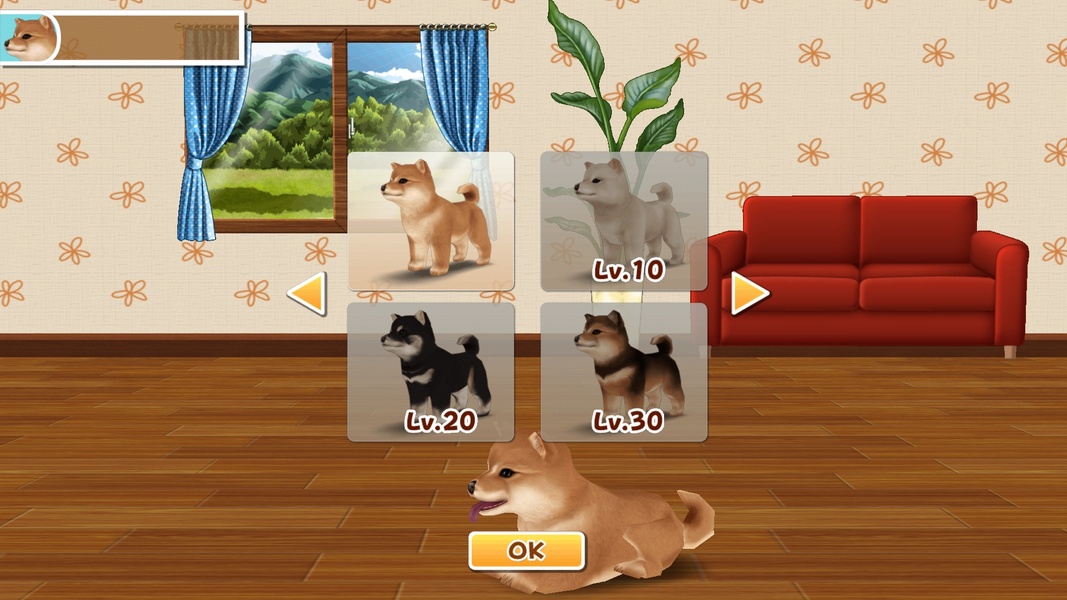My Dog My Style - Preview 2