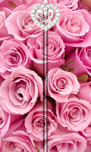 PinkRosesZipperUnLock - Preview 8