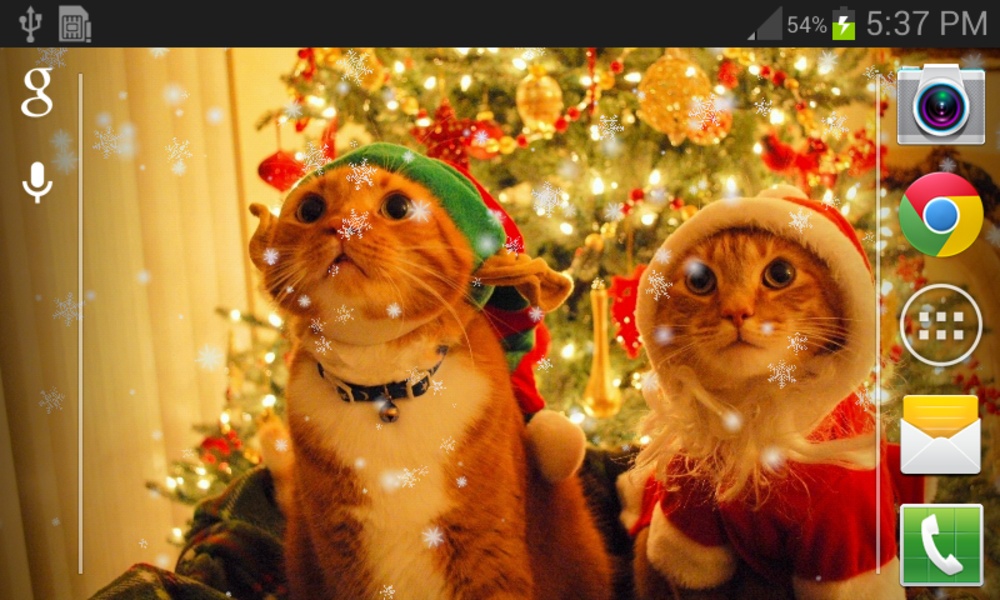Christmas Cat live wallpaper - Preview 1