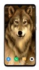 Wolf Wallpaper 4K screenshot 5