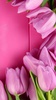 Pink Tulips Live Wallpaper screenshot 5