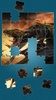 Dinosaurs Jigsaw Puzzle screenshot 2