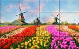 Digital Paintings Puzzle screenshot 5