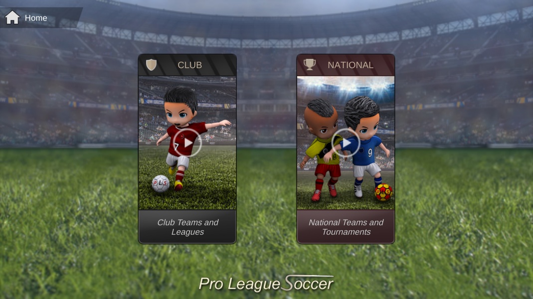 Pro League Soccer - Preview 1