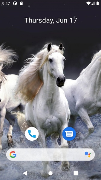 Horse Wallpaper HD - Preview 8