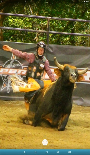 Bull Rodeo Live Wallpaper - Preview 3