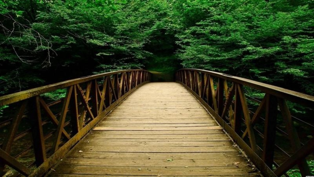 Green Nature HD Wallpaper - Preview 5