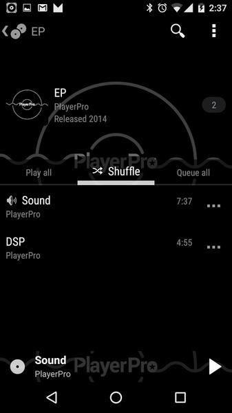PlayerPro KK skin - Preview 6