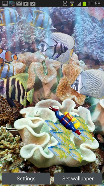 The real aquarium - HD - Preview 4