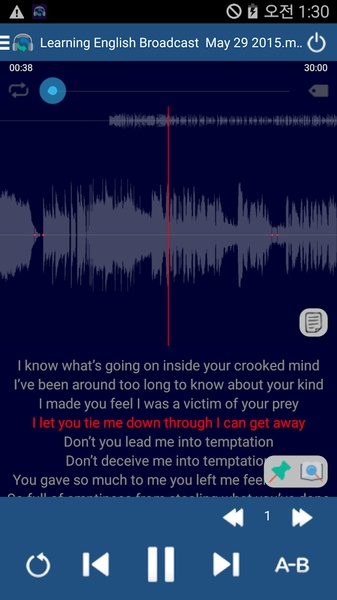 Auto Repeat Player - Preview 5
