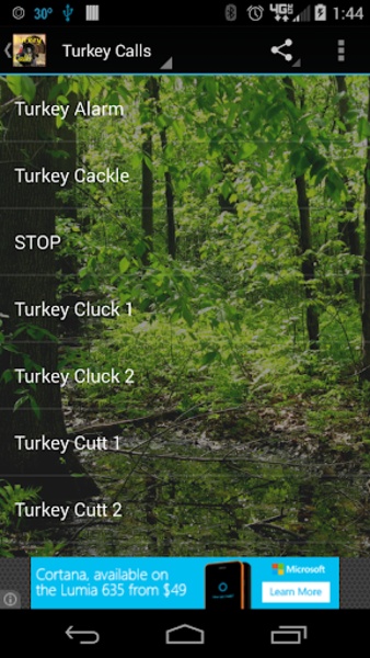 Turkey Calls HD - Preview 1