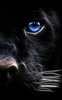 Black Panther Live Wallpaper screenshot 3