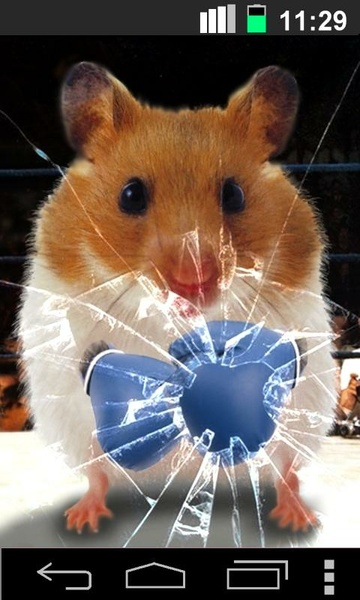 Hamster Live Wallpapper - Preview 1