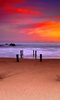 Ocean Sunset screenshot 12