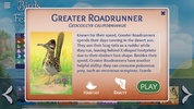 Birds of a Feather Card Game screenshot 10