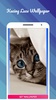 Kucing Lucu Wallpaper screenshot 1