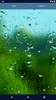 Rain Water Live Wallpaper screenshot 1