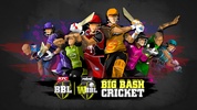 Big Bash Cricket screenshot 11