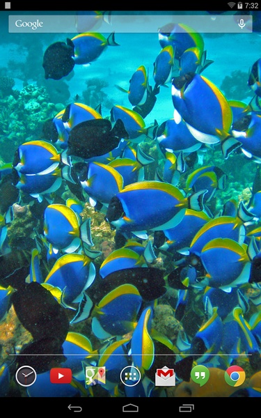 Tropical Fish Live Wallpaper - Preview 8