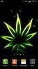 Rasta Marijuana Fondo Animado screenshot 6