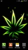Rasta Maconha Papel de Parede screenshot 6
