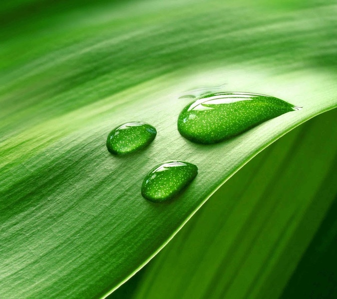 Wallpapers GS5 - Preview 14