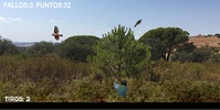 Caza zorzal screenshot 4