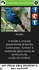 Pássaros Do Brasil screenshot 4